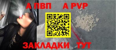 мет Кингисепп