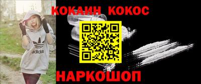 мет Кингисепп
