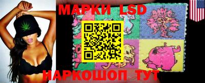 мет Кингисепп