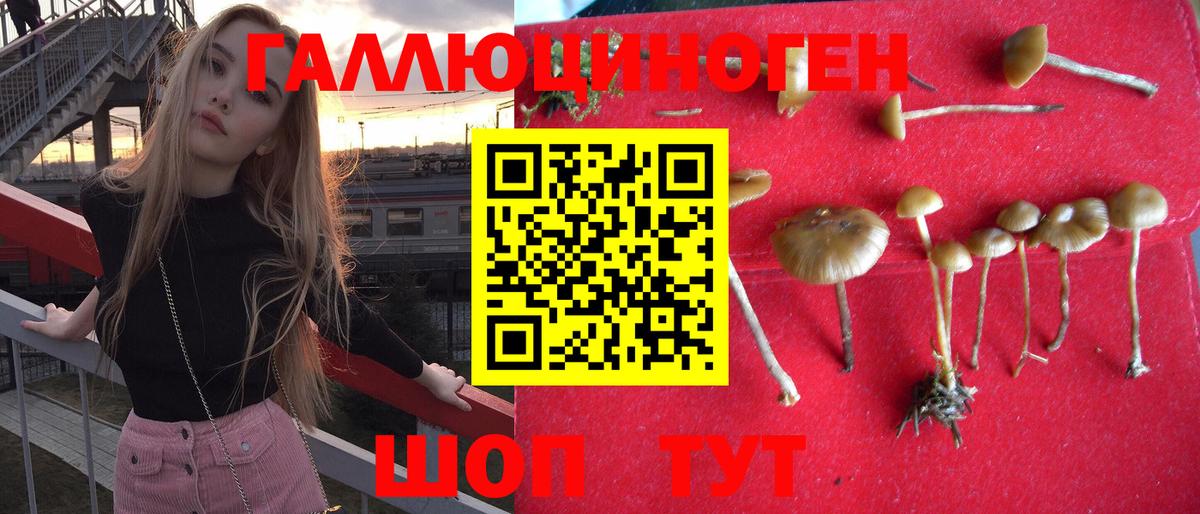 Галлюциногенные грибы GOLDEN TEACHER  Вход с VPN  Галлюциногенные грибы Psilocybe  Котовск 